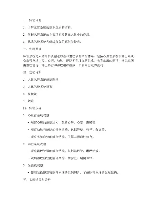 脉管系统概述实验报告
