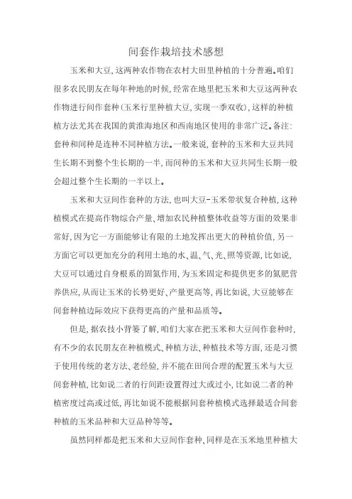 间套作栽培技术感想