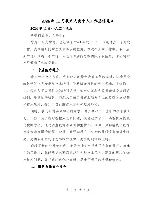 2024年11月技术人员个人工作总结范本（2篇）
