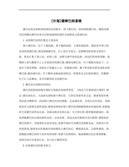 [计划]猪淋巴结系统
