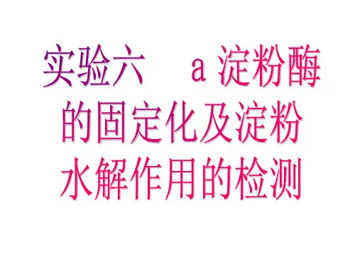 a淀粉酶