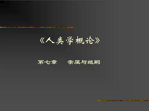 七亲属与继嗣