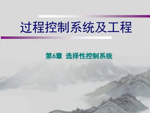 选择性控制系统ppt课件