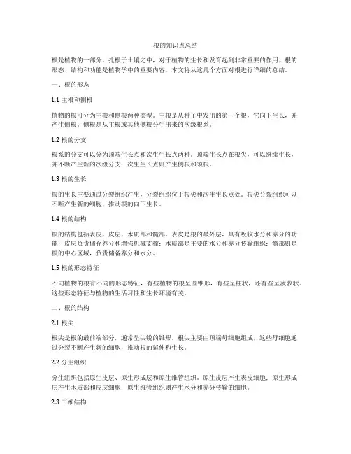 根的知识点总结