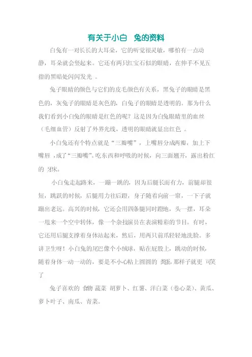 有关于小白兔的资料