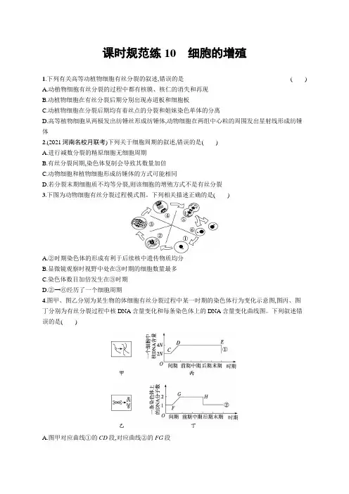 2023年老高考生物一轮复习练习10 细胞的增殖