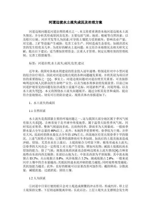 河道边坡水土流失成因及治理方案