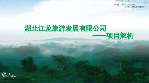 温泉国际旅游度假区++项目PPT+最新版20160224