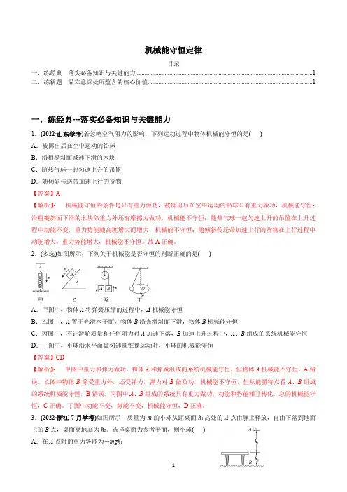 高中物理机械能守恒定律(解析版)