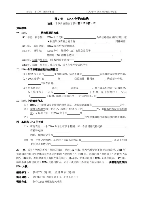 第2、3节   DNA分子的结构 & DNA的复制
