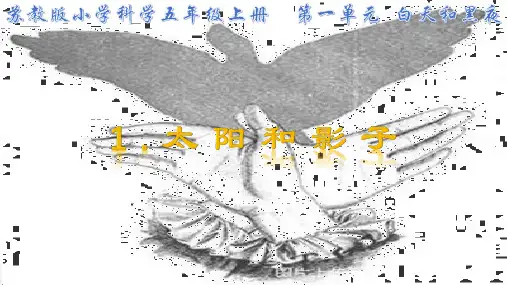 苏教版小学五年级科学上册(太阳和影子)教学课件