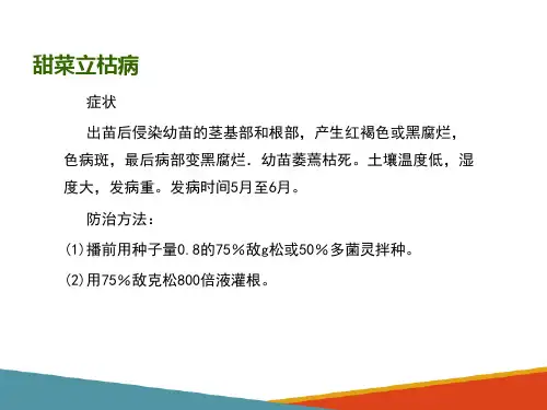 甜菜病虫害识别与防治(甜菜生产技术课件)