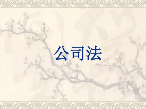 公司法讲义