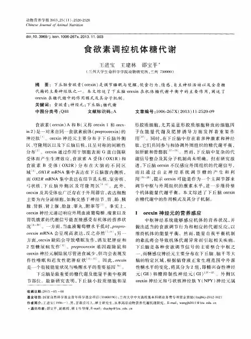 食欲素调控机体糖代谢