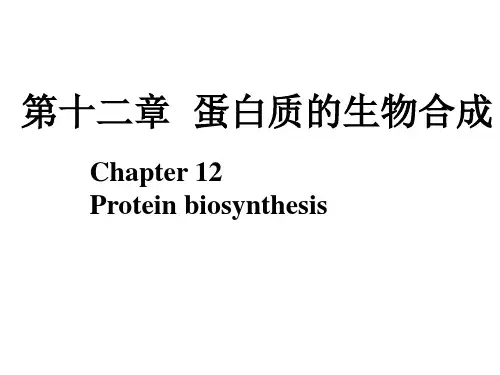 生化-第12章-蛋白质的生物合成(20150512)