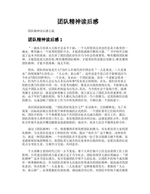 团队精神读后感