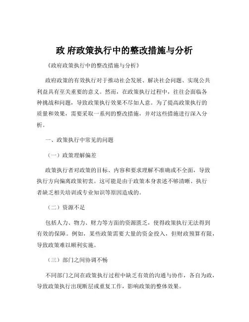 政 府政策执行中的整改措施与分析