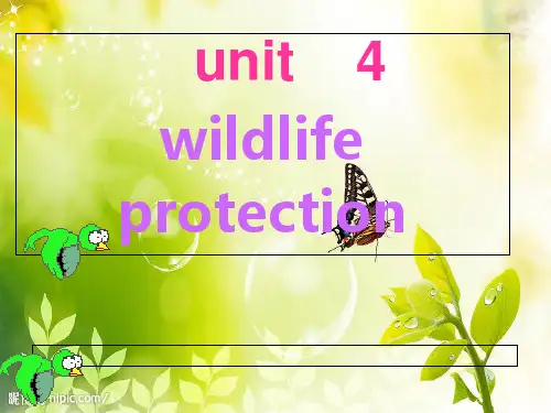 人教版高中英语 必修二 Unit4 《Wildlife protection ---Reading》