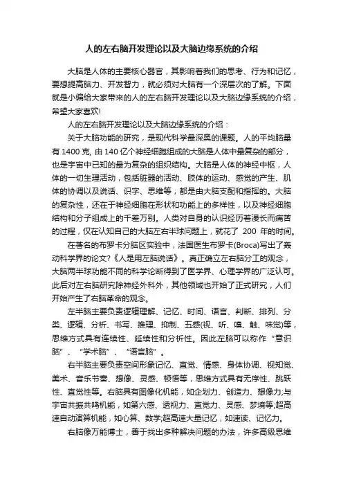 人的左右脑开发理论以及大脑边缘系统的介绍