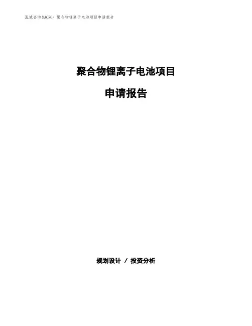 聚合物锂离子电池项目申请报告