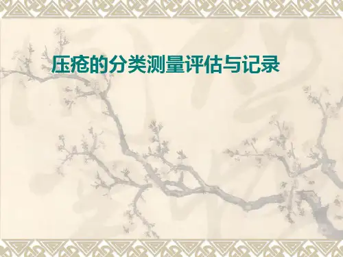 压疮的分类测量评估与记录 ppt课件