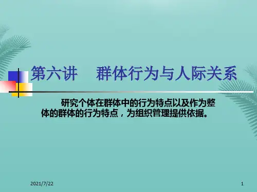 【精选】组织行为学  第六讲  群体PPT