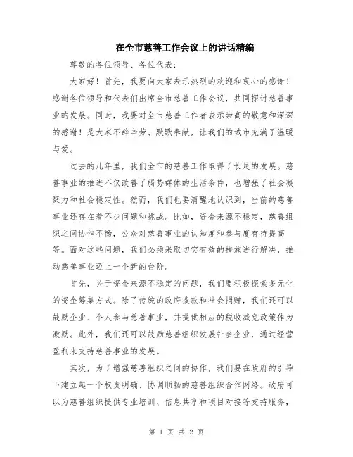 在全市慈善工作会议上的讲话精编