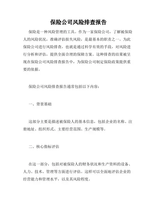 保险公司风险排查报告