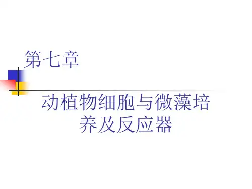 动植物细胞培养