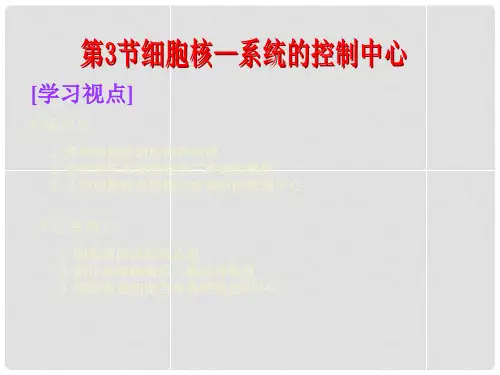 高中生物 第3章  第3节 细胞核—系统的控制中心课件 
