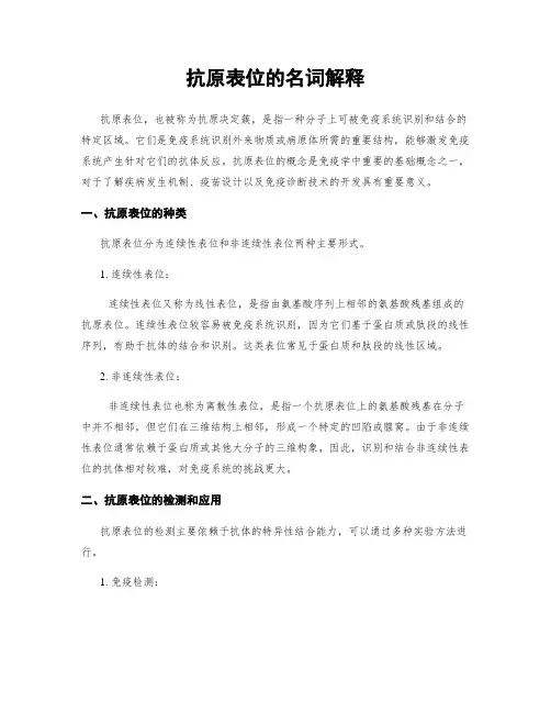 抗原表位的名词解释