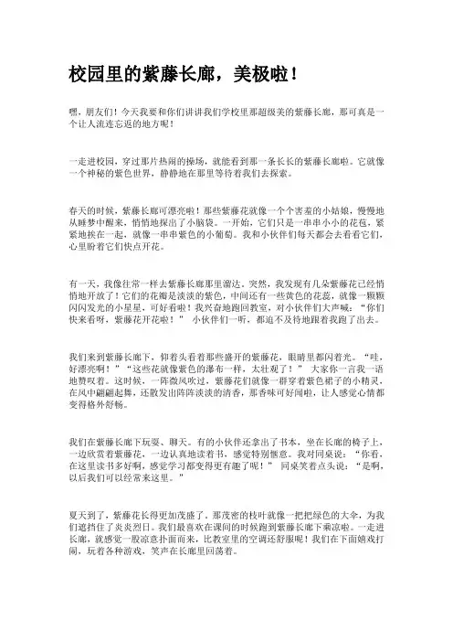 校园美景紫藤长廊作文