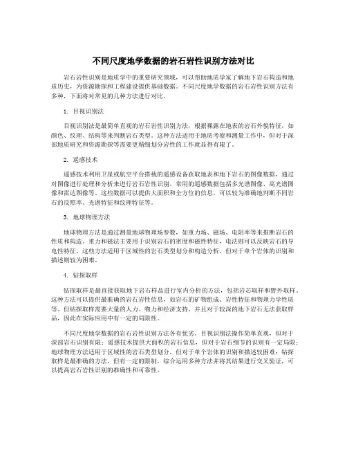 不同尺度地学数据的岩石岩性识别方法对比