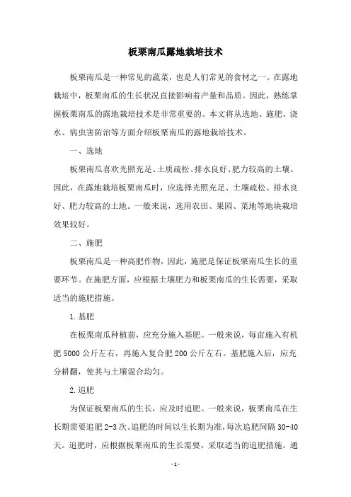 板栗南瓜露地栽培技术