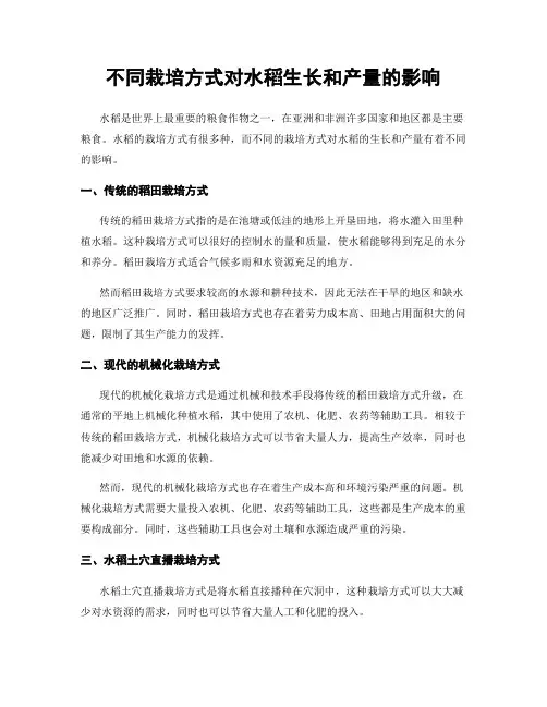 不同栽培方式对水稻生长和产量的影响