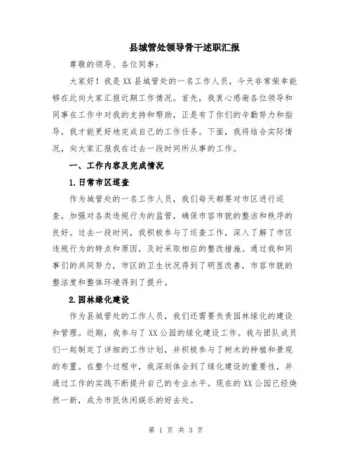 县城管处领导骨干述职汇报