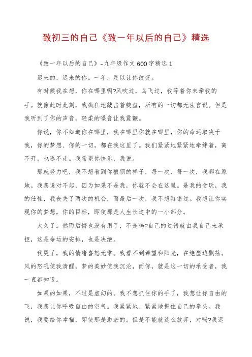 致初三的自己《致一年以后的自己》精选