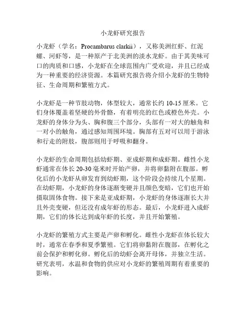 小龙虾研究报告