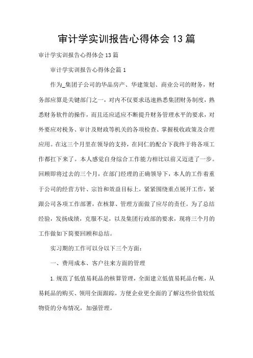 审计学实训报告心得体会13篇