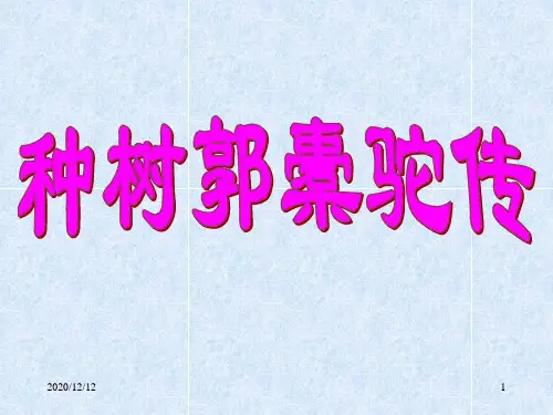 《种树郭橐驼传》公开课 ppt课件