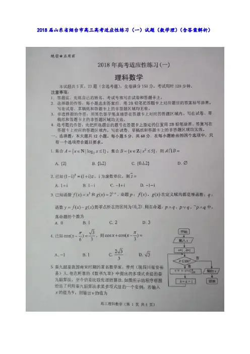 2018届山东省烟台市高三高考适应性练习(一)试题(数学 理)(含答案解析)