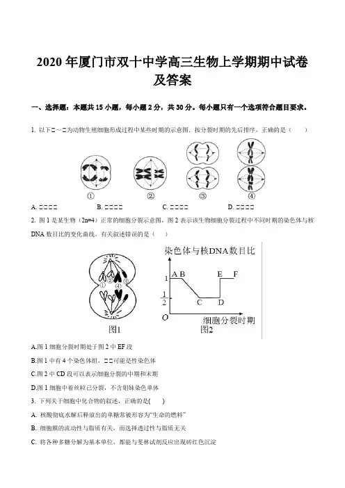 2020年厦门市双十中学高三生物上学期期中试卷及答案