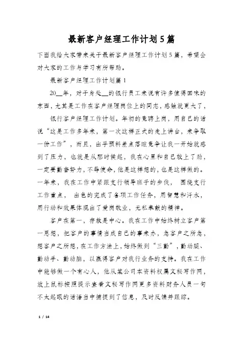 最新客户经理工作计划5篇