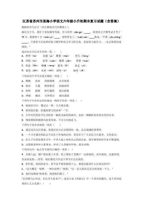 江苏省苏州市星海小学语文六年级小升初期末复习试题(含答案)
