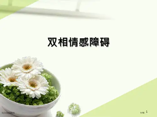 双向情感障碍ppt课件