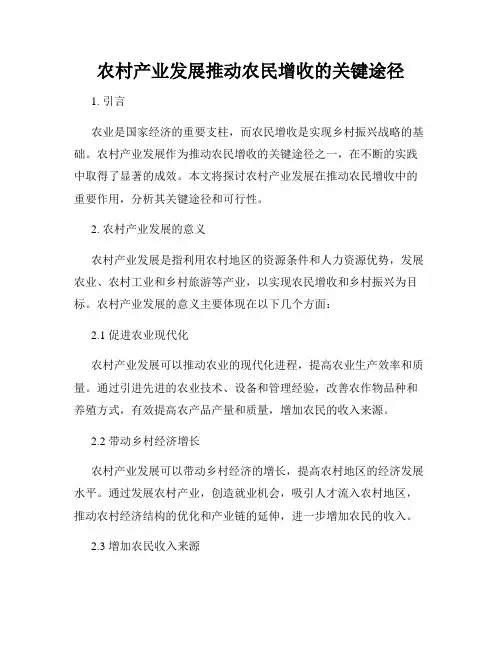 农村产业发展推动农民增收的关键途径