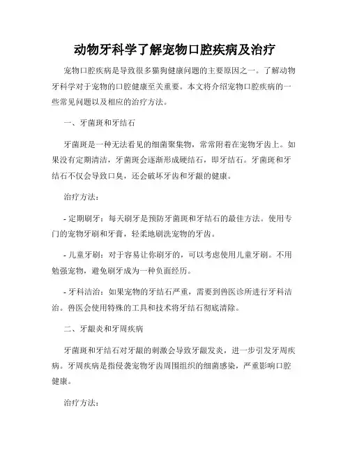 动物牙科学了解宠物口腔疾病及治疗