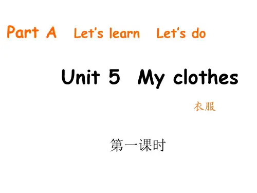 【课程教学】Unit5Myclothes(课件)