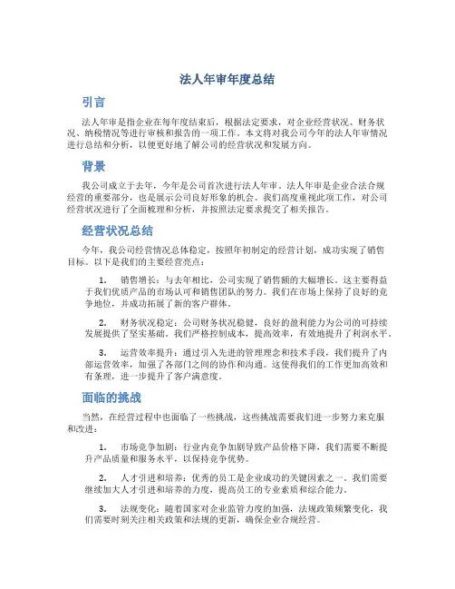 法人年审年度总结