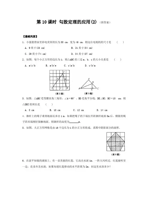 八年级数学基础巩固与拓展提优：第二章 第10课时 勾股定理的应用(2)